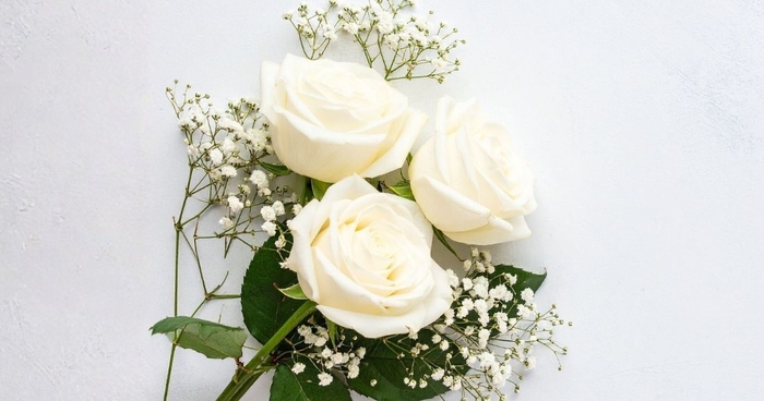 Siéntete respaldado con nuestra póliza de Servicios Funerarios 